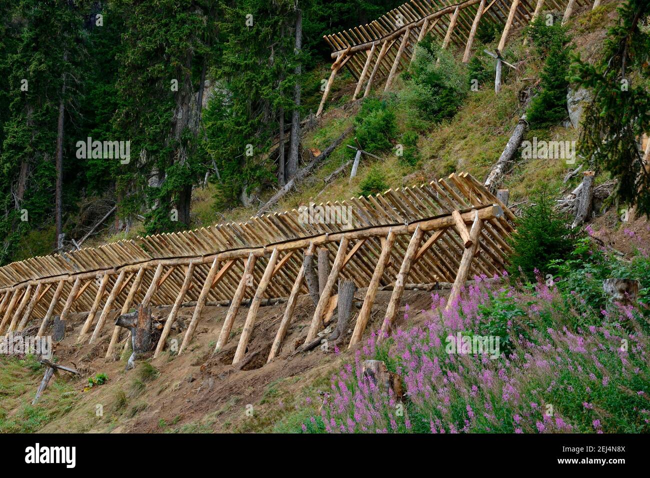 Lawinenbarriere, Lawinenschutz, Holzzaun, Riederalp, Wallis, Schweiz Stockfoto