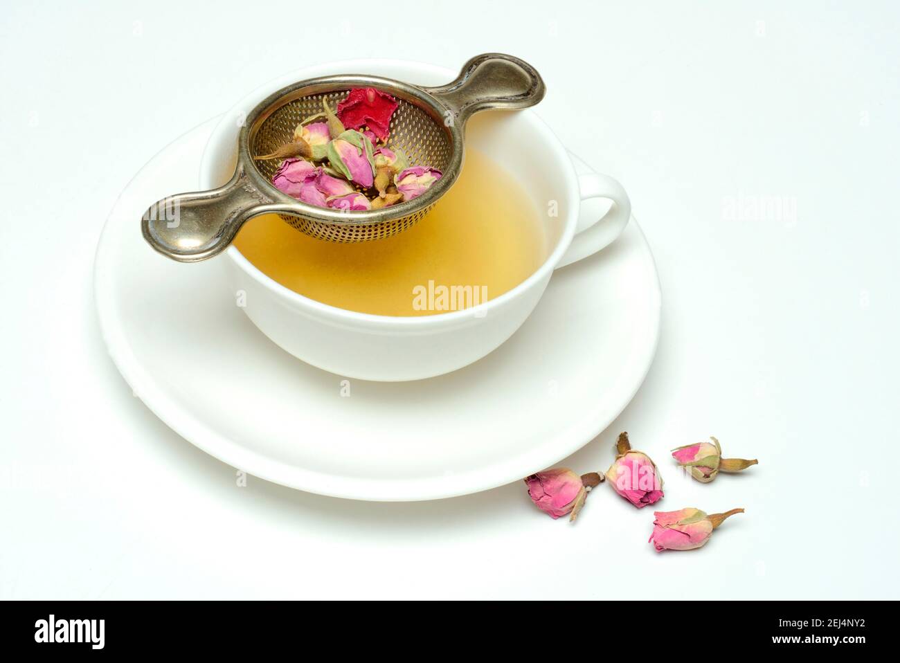 Rosétee in Tasse und Rosenknospen, Rosenblütentee, Roséknospe Stockfoto