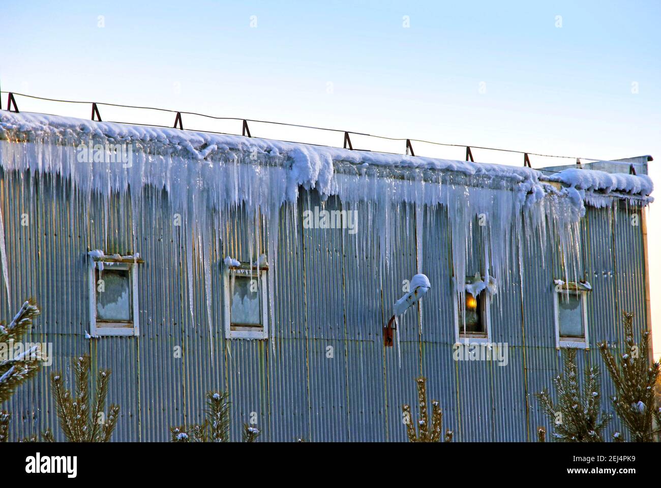 Ein Stahlbauanhänger und Eiszapfen hängen wie ein gefrorener Wasserfall von seinem Dach. Eines der vier Fenster hat ein Licht an. Kleine Fichten wachsen herum. Stockfoto