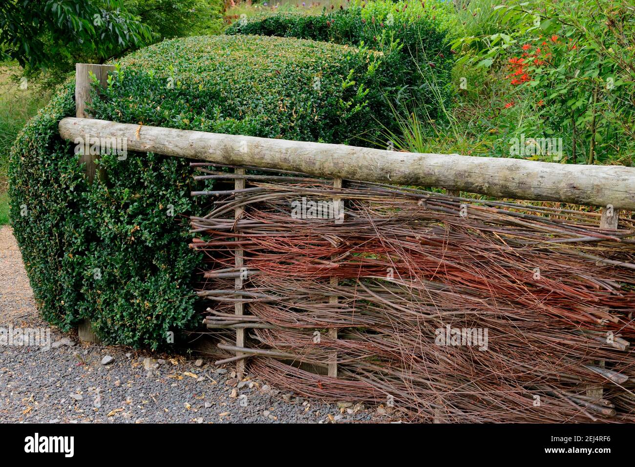 Flechtzaun, gewebt, Weidenzaun Stockfoto