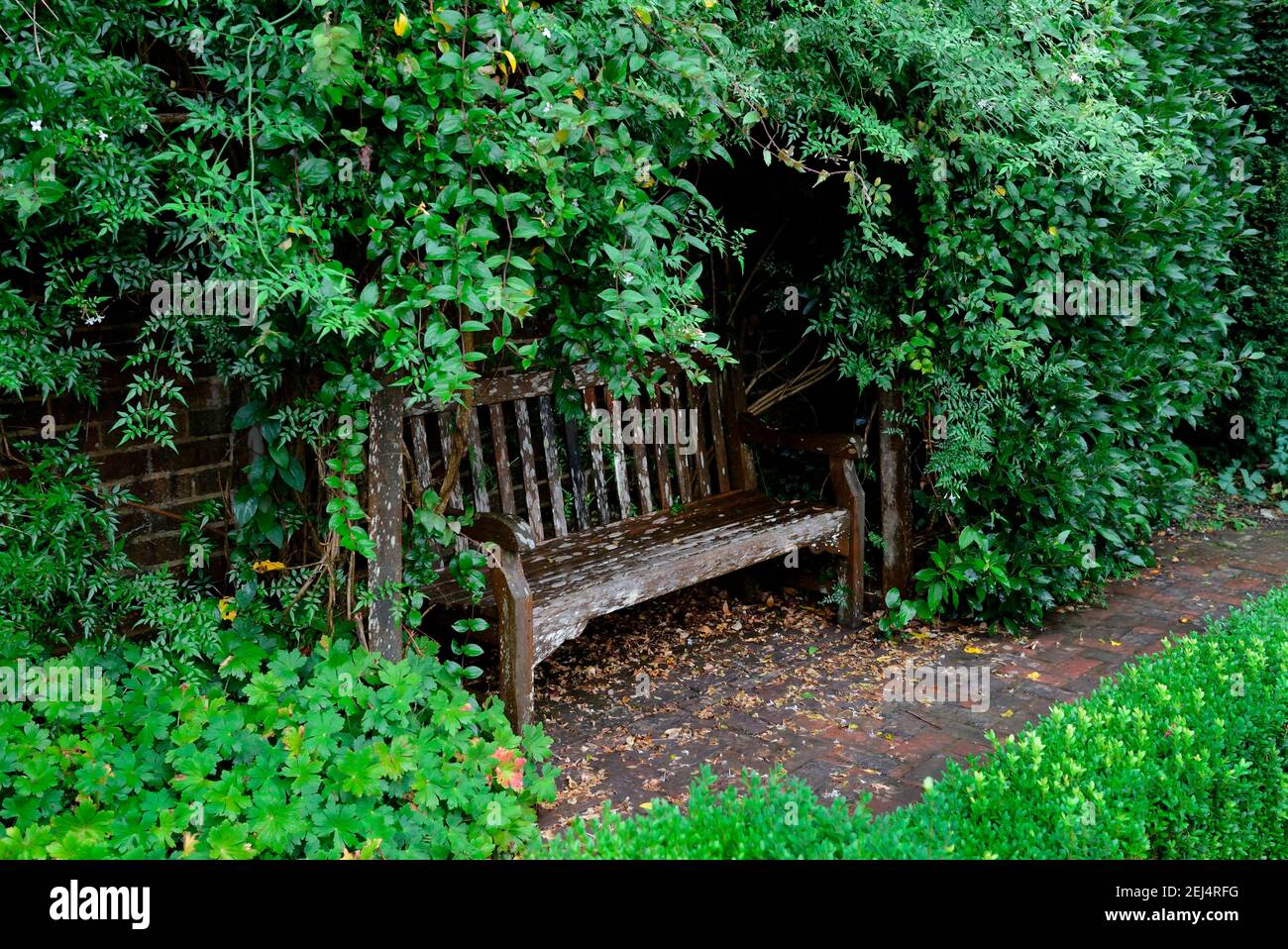 Alte Gartenbank, Clinton Lodge Gardens, Fiederung, East Sussex, England, Großbritannien Stockfoto