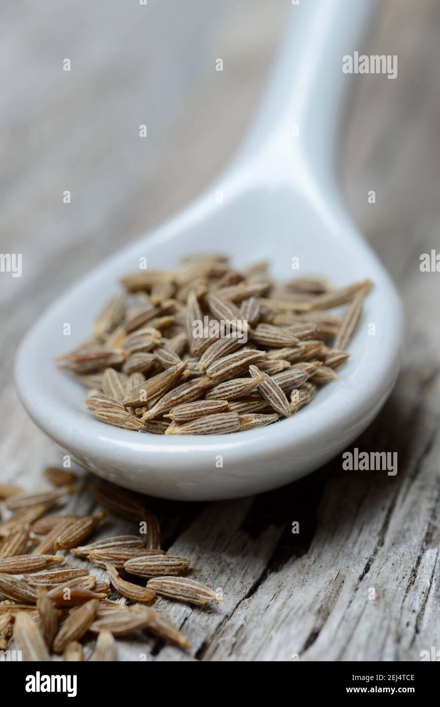 Kreuzkümmel (Cuminum cyminum) mit Löffel, Samen Stockfoto