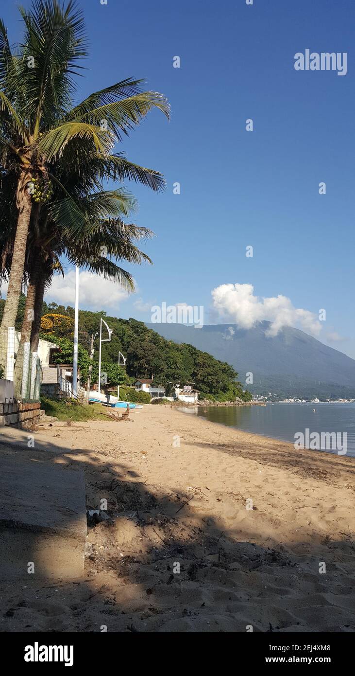 Passeio Pela praia no Verão Stockfoto