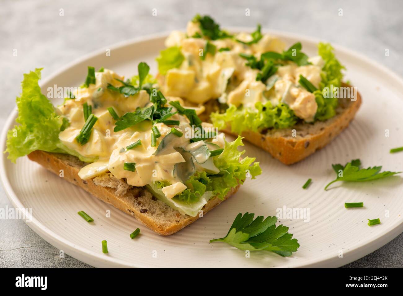 Eiersalat-Sandwiches auf hellem Hintergrund. Stockfoto