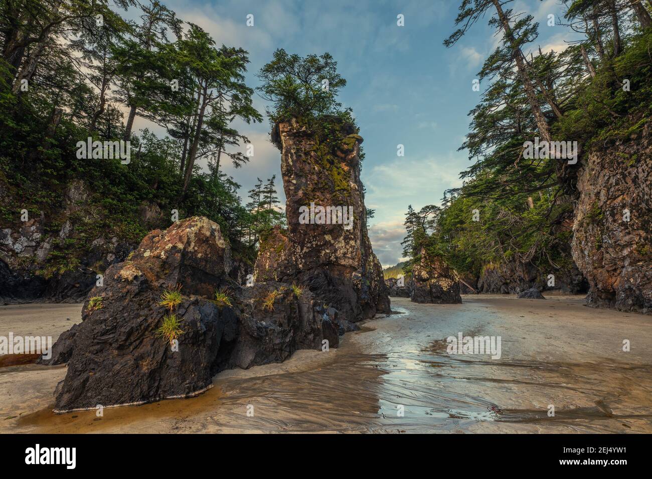 San Josef Bay auf Vancouver Island, British Columbia, stapelt sich bei Ebbe. Stockfoto