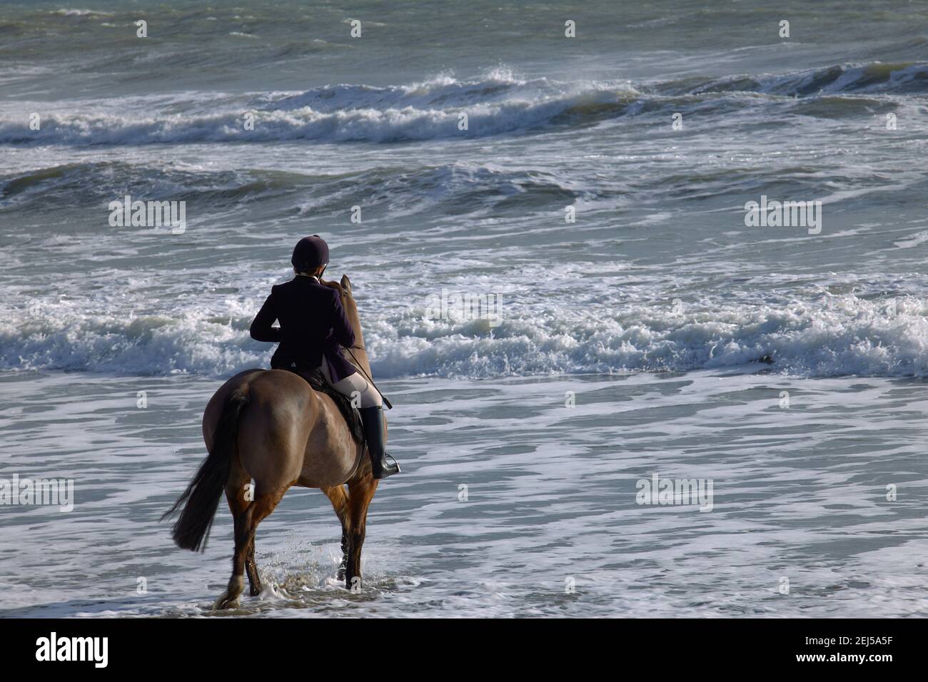 Senior Jockey reiten ein braunes Pferd durch das Strandwasser. Stockfoto