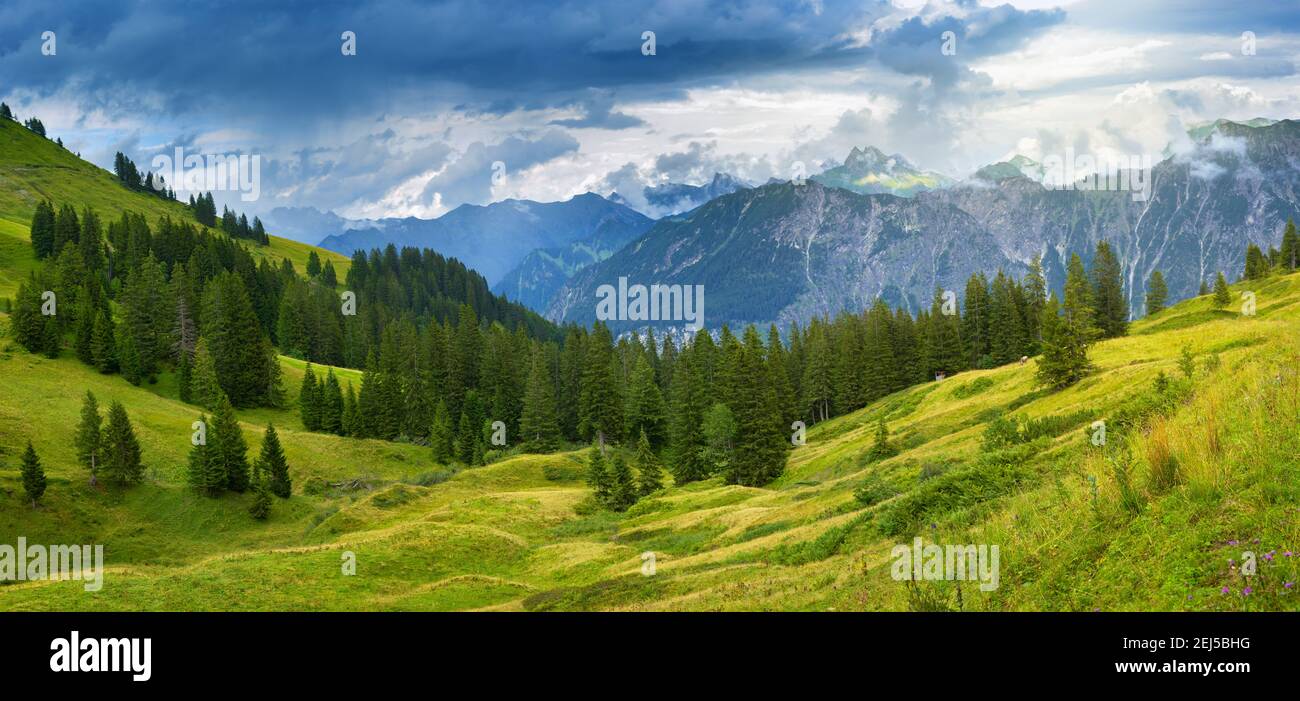 Alpen Fellhorn, Bayern Deutschland Stockfoto