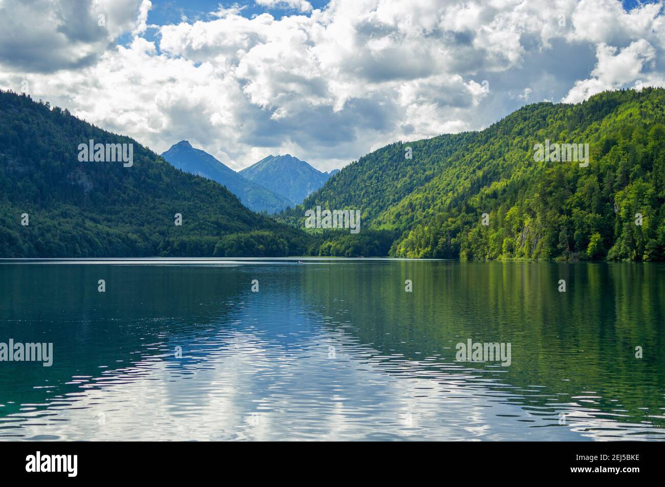 Alpsee Seenlandschaft Bayern Deutschland Stockfoto