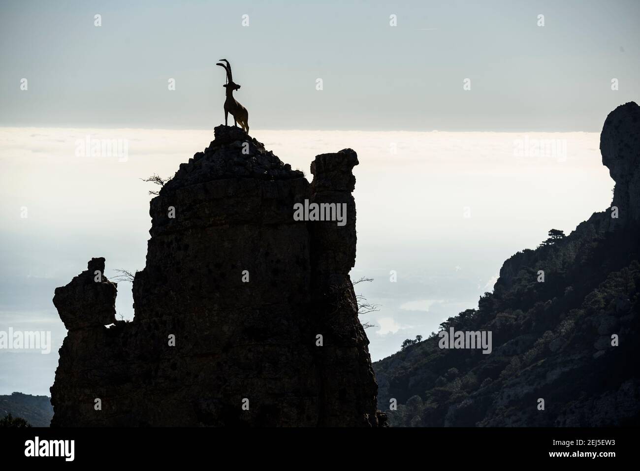 Monument a la Cabra Salvatge (Capra pyrenaica) Iberisches Steinbock-Denkmal. (PN Els Ports, Katalonien, Spanien) ESP: Monumento a la Cabra Salvaje Stockfoto