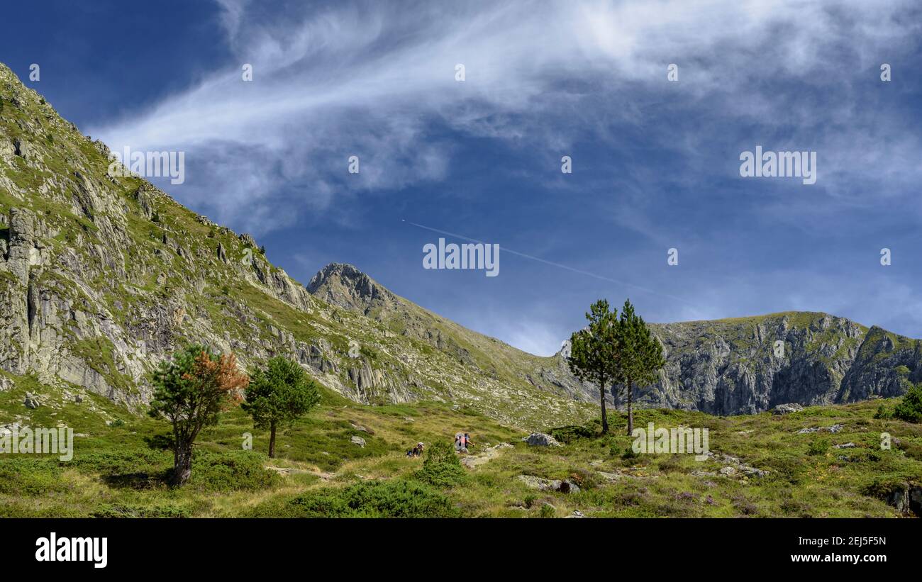 Route zur Besteigung des Mont Valier-Gipfels (im Hintergrund) im Riberottal (Ariège, Pyrenäen, Frankreich) ESP: Ruta de subida al Mont Valier Stockfoto