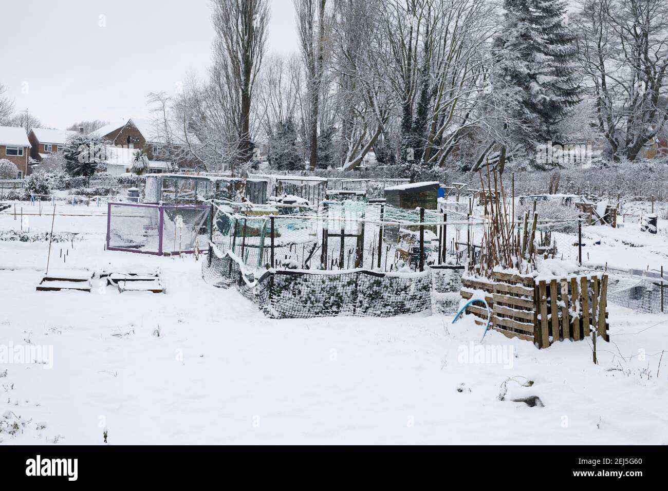 Schneebedeckte Kleingärten Stockfoto