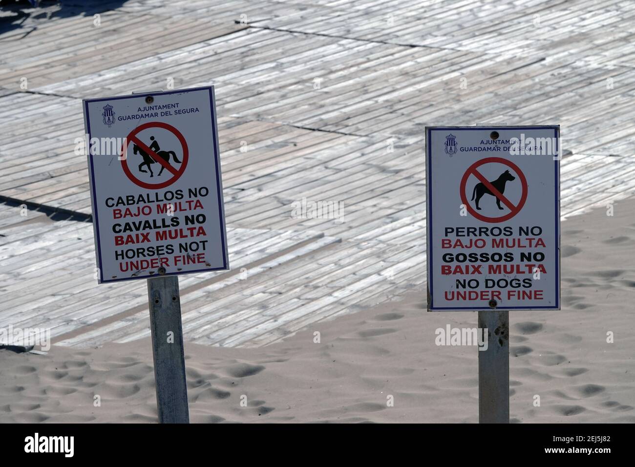 Zwei Schilder am Strand, keine Hunde, keine Pferde, La Mata, Torrevieja, Costa Blanca, Spanien Stockfoto