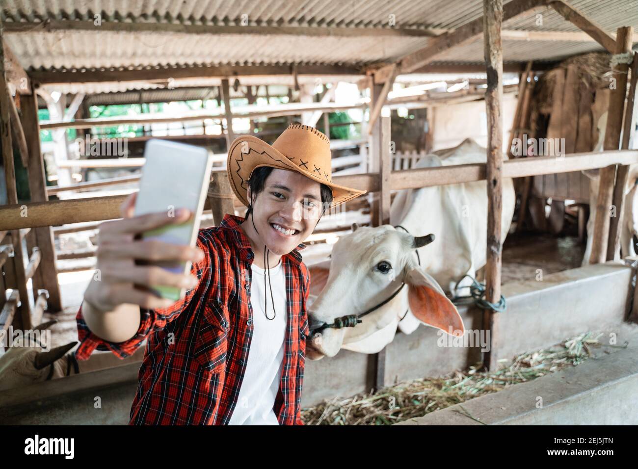Mann trägt Cowboy Hut Selfie mit Handtelefon in Kuhfarm Hintergrund Stockfoto