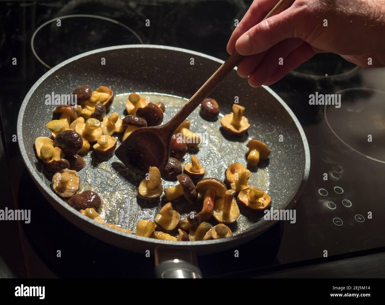 Gebratene kleine ganze wilde Steinpilze. Kochen Waldboletus in einer Pfanne auf einer heißen Kochplatte mit Holzlöffel bestickt Stockfoto