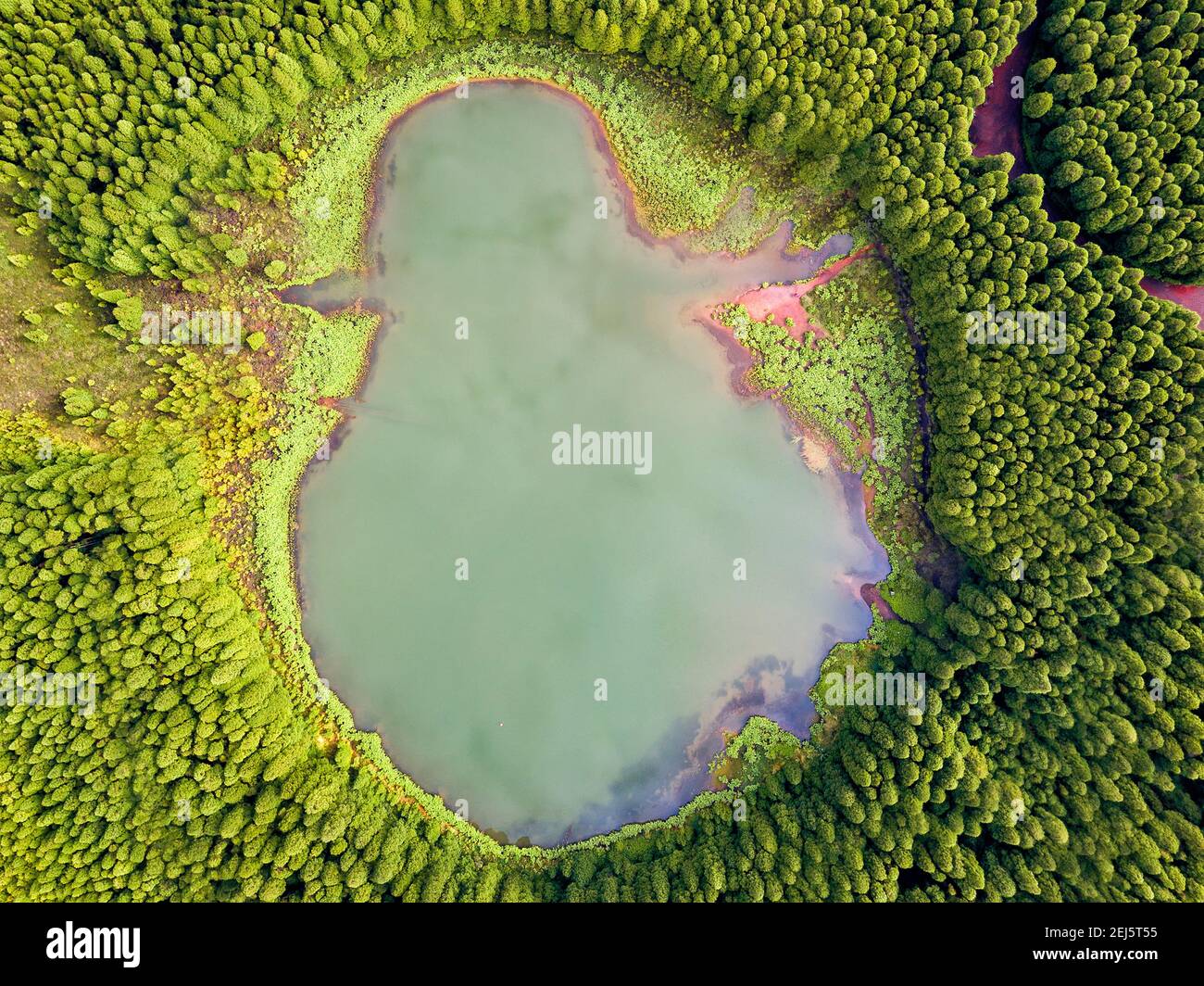 Wald Mit Wolken Stockfotos und bilder Kaufen Alamy