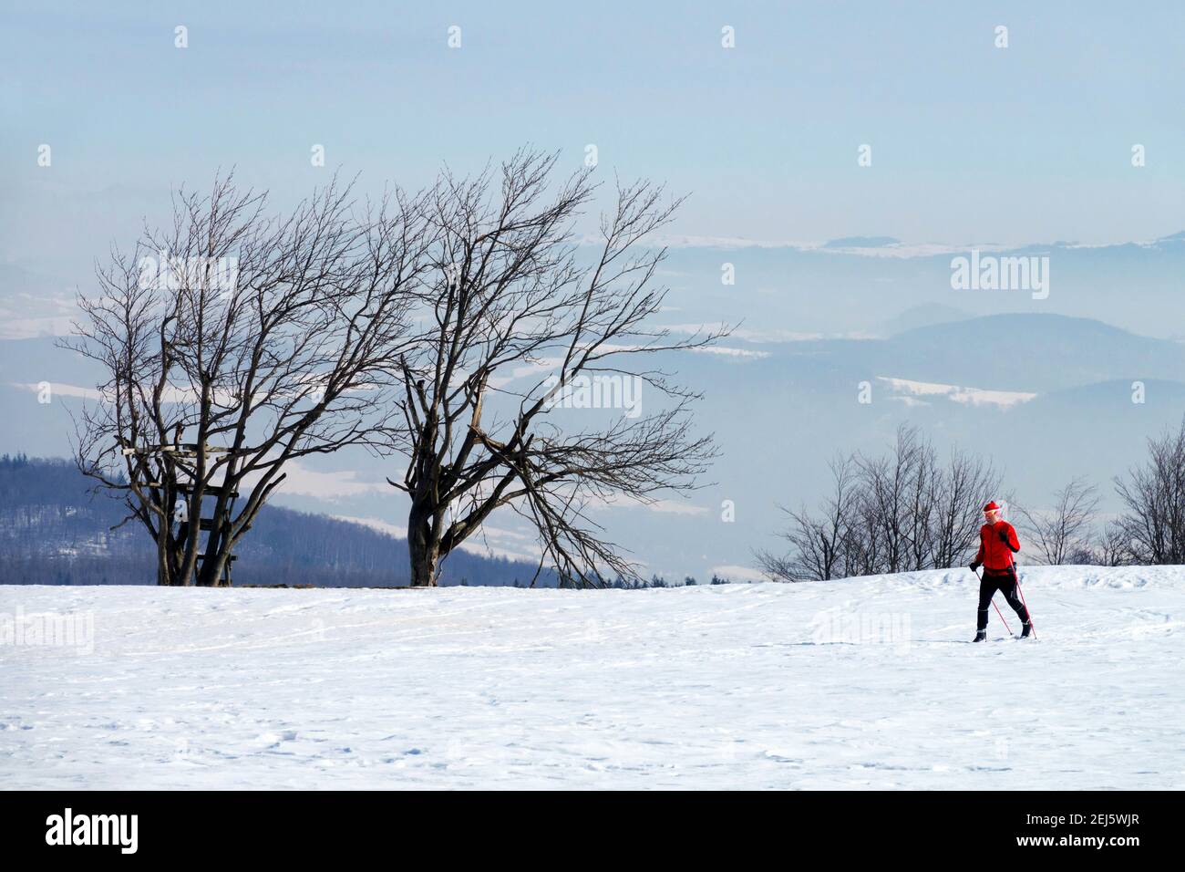 Einsamer Mann in Rot, Single-Skier in der schneebedeckten Landschaft im östlichen Erzgebirge Langlaufski Tschechien Winter Stockfoto