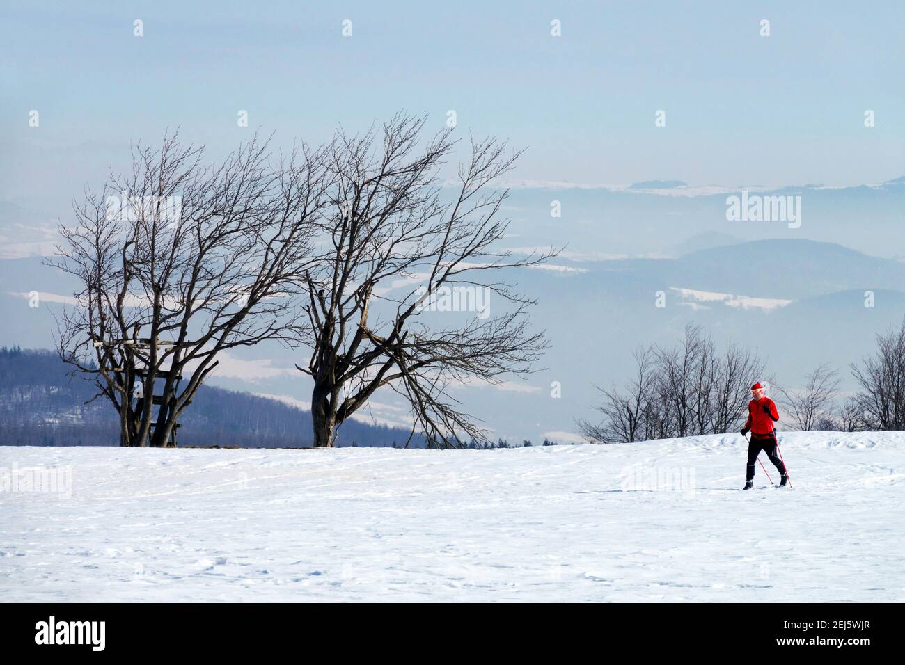 Einsamer Mann in rot, Single-Skifahrer in schneebedeckten Landschaft im östlichen Erzgebirge Langlaufen Tschechien Winter Stockfoto