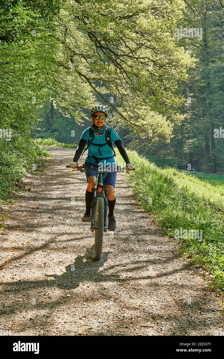 Weibliche Mountainbiker Reitet Auf Der Natural Forest Road Durch Den Light Green Spring Forest. Fehraltorf, Zürich Oberland, Schweiz Stockfoto