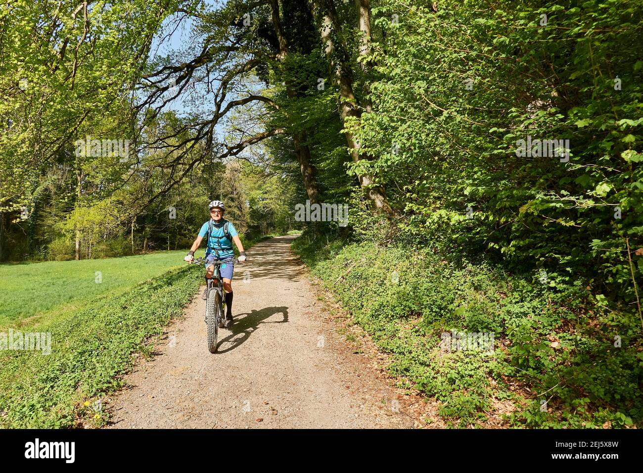 Weibliche Mountainbiker Reitet Auf Der Natural Forest Road Durch Den Light Green Spring Forest. Fehraltorf, Zürich Oberland, Schweiz Stockfoto