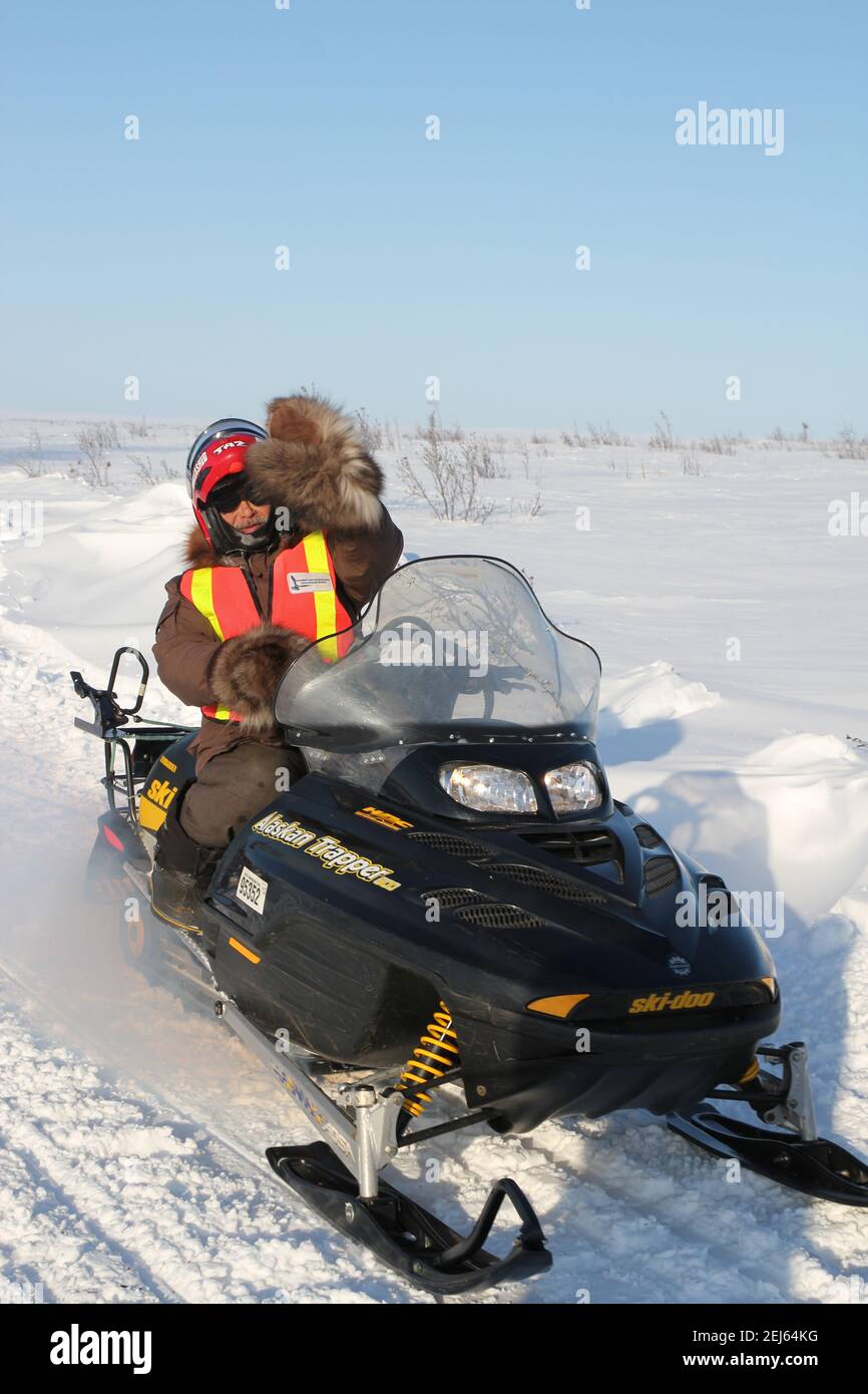 Indigenous Wildlife Monitor auf Schneemobilen während des Winterbaus des Inuvik-Tuktoyaktuk Highway, Northwest Territories, Kanadas Arktis. Stockfoto