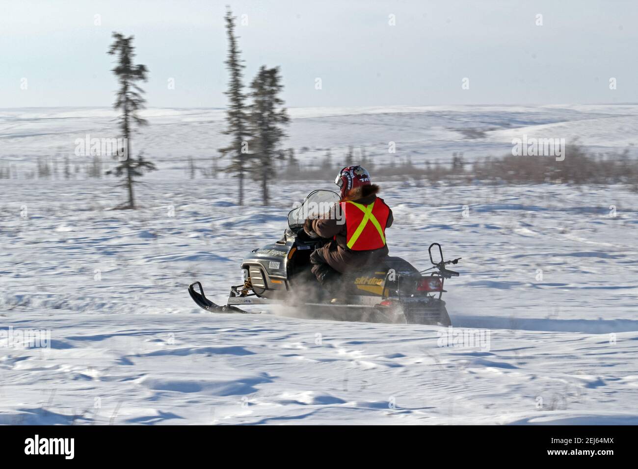 Wildlife Monitor auf dem Schneemobil während des Winterbaus der Inuvik-Tuktoyaktuk Autobahn, Nordwest-Territorien, Kanadas Arktis. Stockfoto