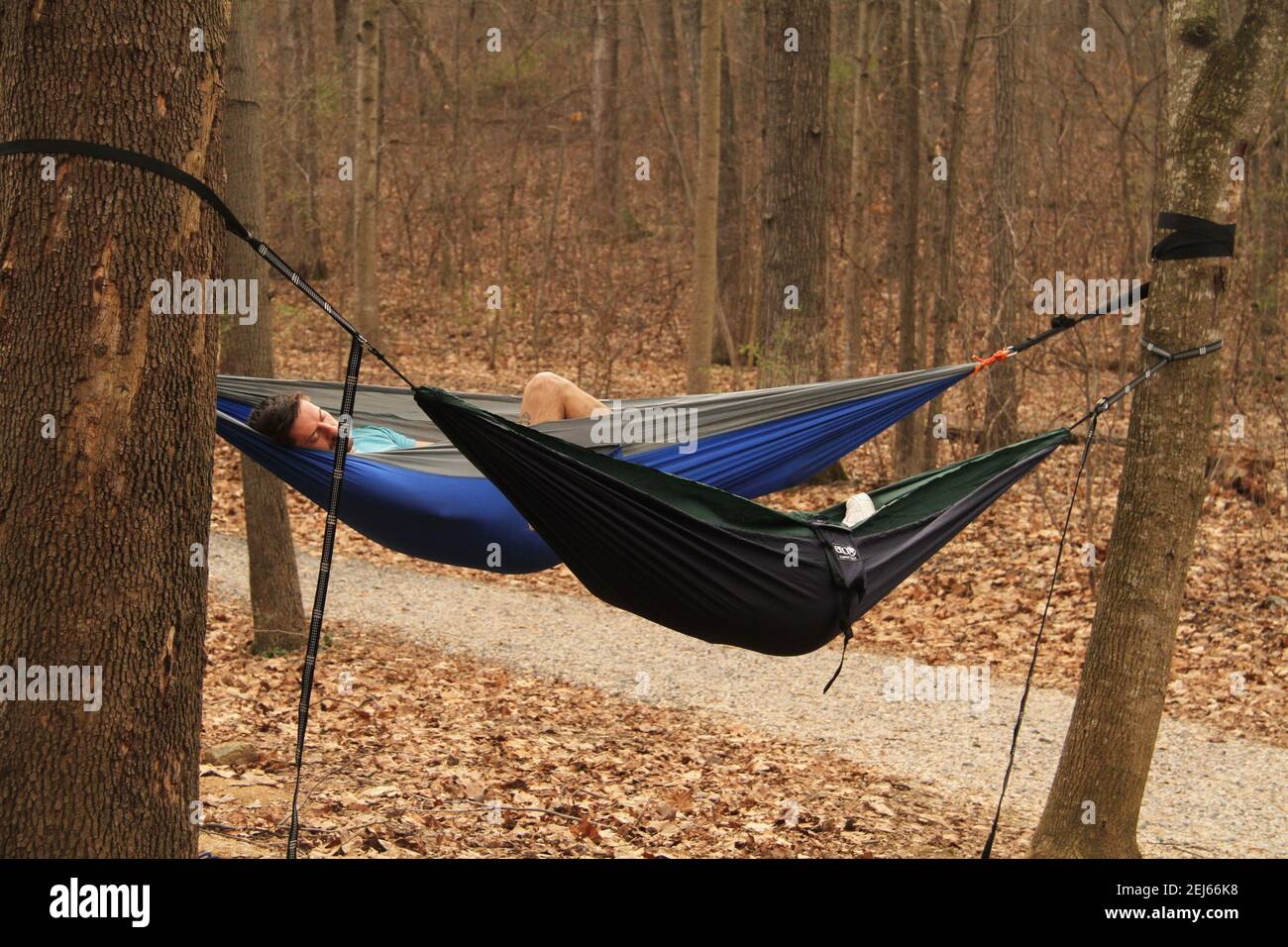 Virginia, USA. Menschen in Hängematten in den Wald. Stockfoto