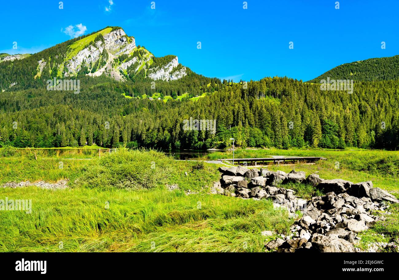 Landschaft des Obersee-Tals in der Schweiz Stockfoto