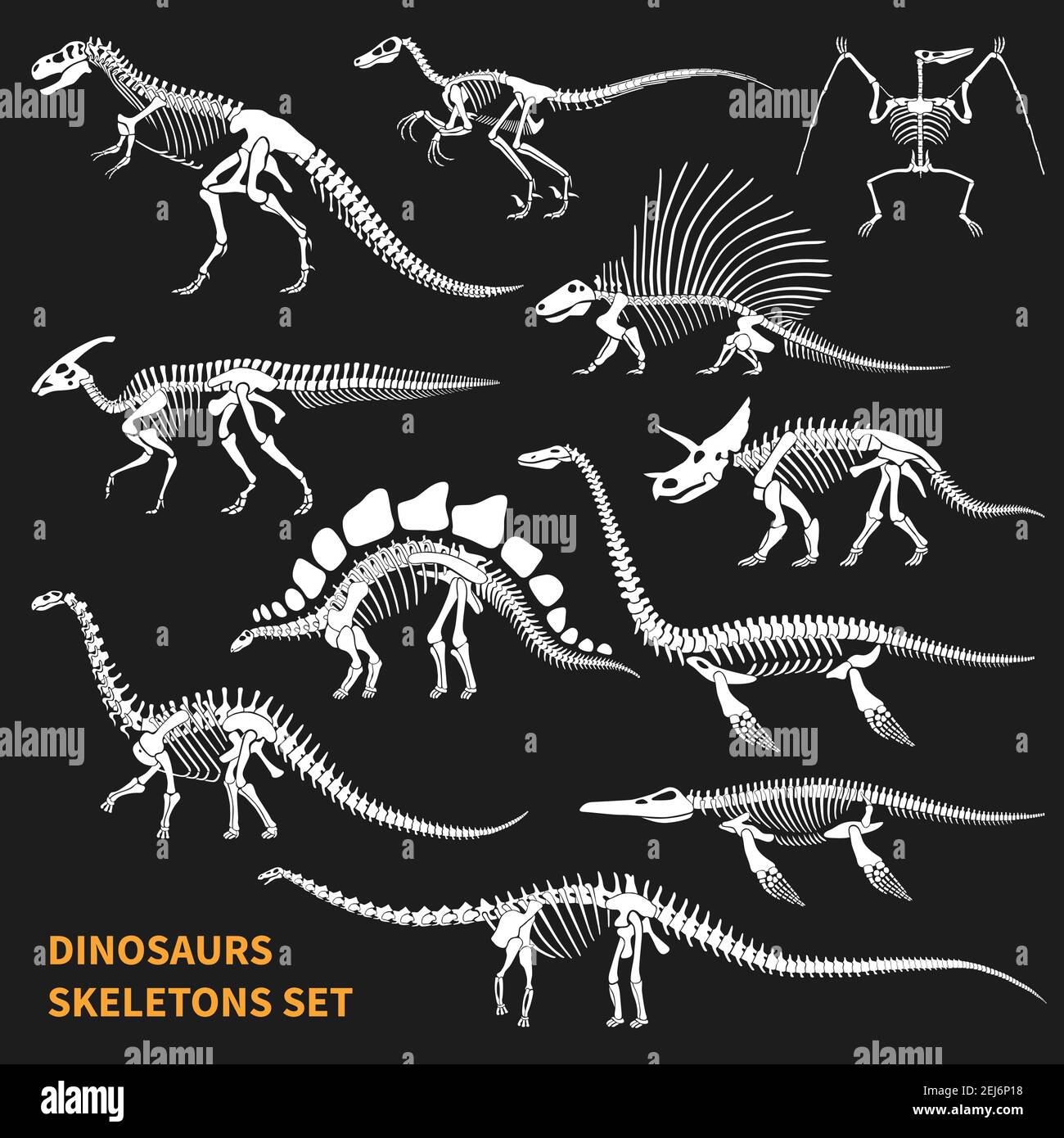 Dinosaurier Skelette isolierte Symbole auf Tafel Hintergrund in Tafel