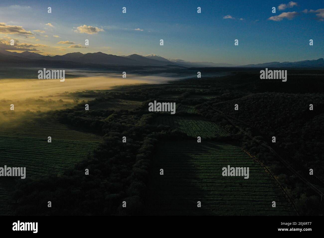 Luftaufnahme von Sahuaripa, Sonora, Mexiko. Sonne durch die Wolken. Landschaft und Nebel bei Sonnenaufgang. Stadt zwischen Parzellen, Aussaat und fruchtbares Land. Vista aera de Sahuaripa, Sonora, Mexiko. Sol entre las nubes. Paisaje y neblina al amanecer. pueblo entre parcelas, siembra y tierra fertil. Stockfoto