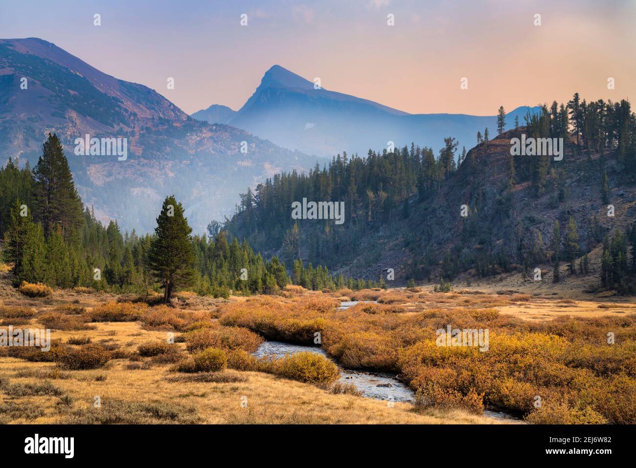 Mountain Stream Stockfoto