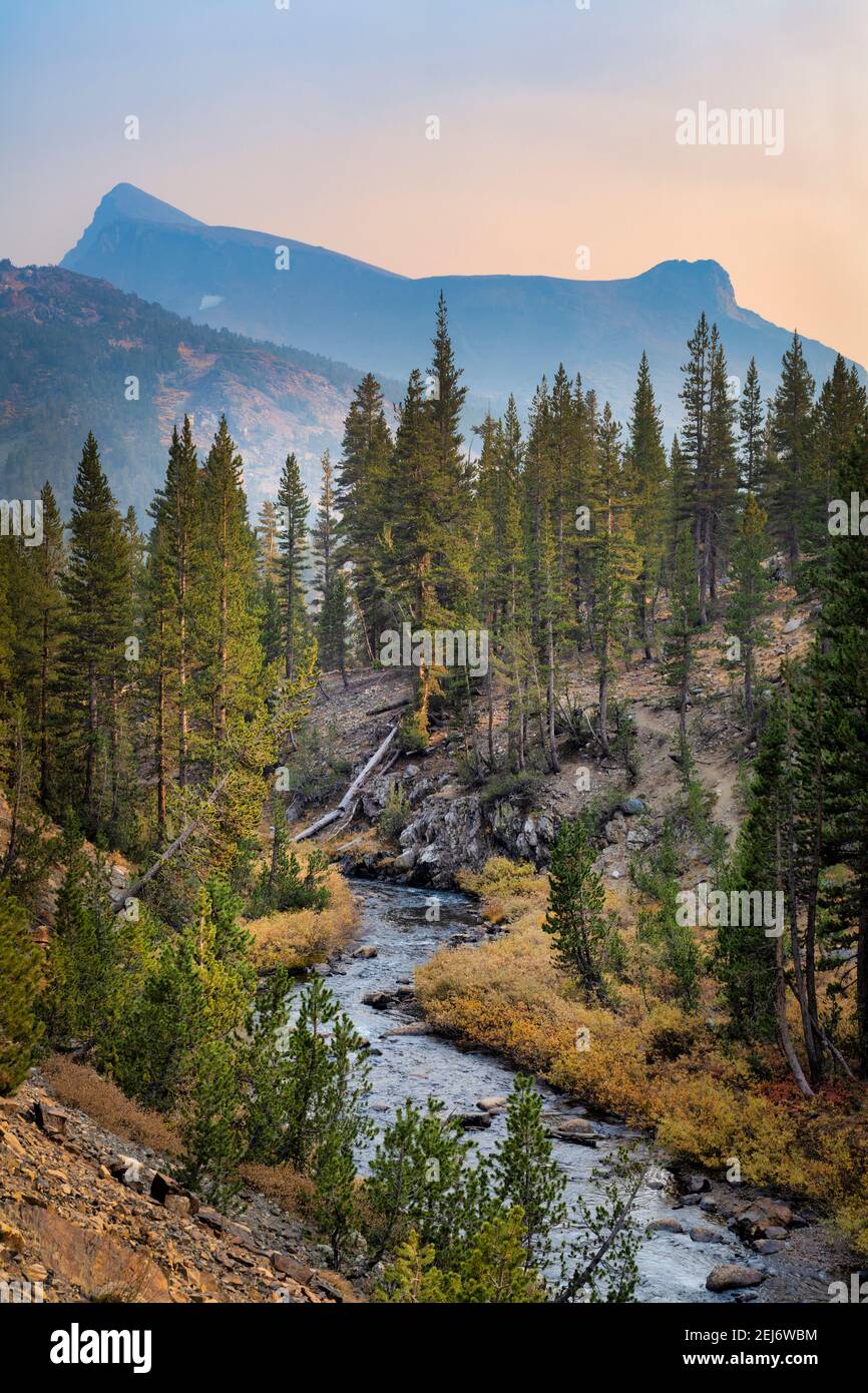 Mountain Stream Stockfoto