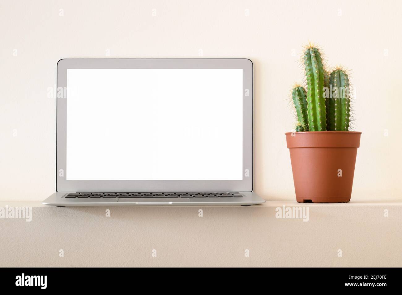 Moderner Laptop mit leerem Bildschirm für Daten, die auf dem Regal platziert werden In der Nähe Töpfer Kaktuspflanze Stockfoto