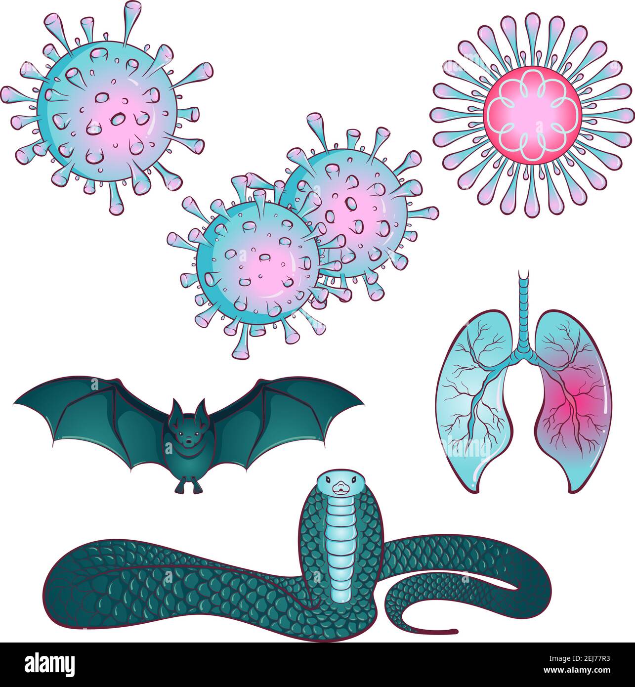 Pandemisches medizinisches Konzept mit gefährlichen Zellen. Set mit Viren und wahrscheinliche Träger von Infektionen Fledermaus und Schlange. Vektorgrafik. Stoppen Sie Coronavirus. Gefahr und Risiko für die öffentliche Gesundheit Krankheit und Grippe Stock Vektor