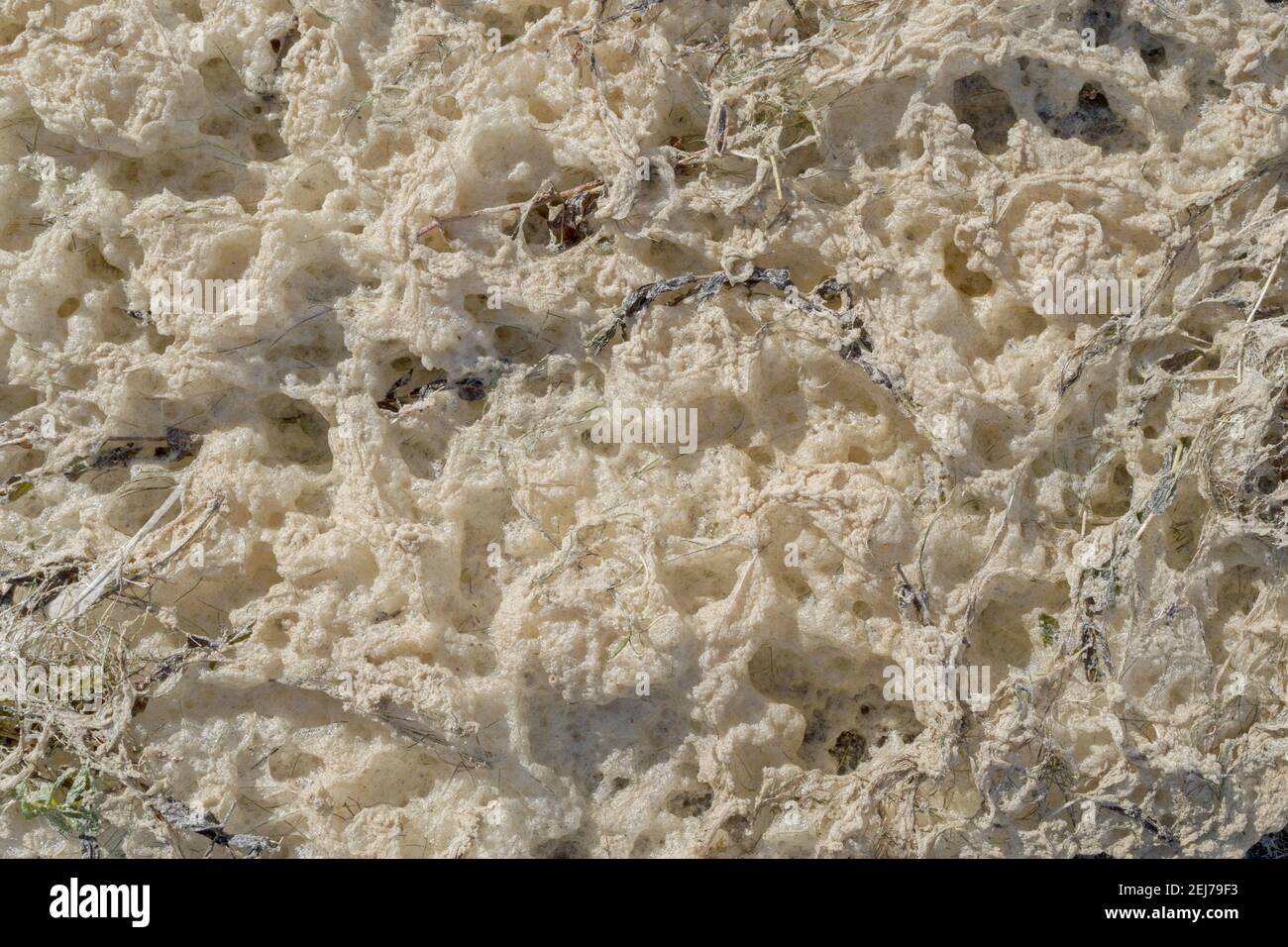 Ein Fragment der Küste in seichtem Wasser, bedeckt mit weißem und cremefarbenem Meeresschaum, gemischt mit Gras und Algen, die am Ufer aufgespült wurden. Natürliche abstrakte Ba Stockfoto