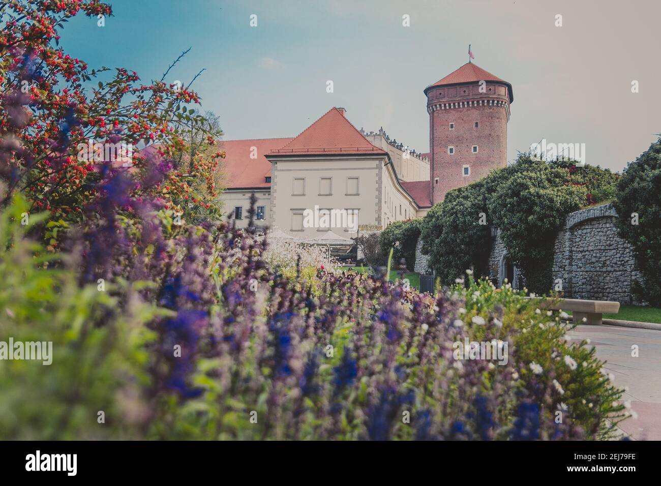 Wawel Senator Turm mit Schloss, Rasen, Efeu, Regenschirme, Blumen und Sträucher Stockfoto