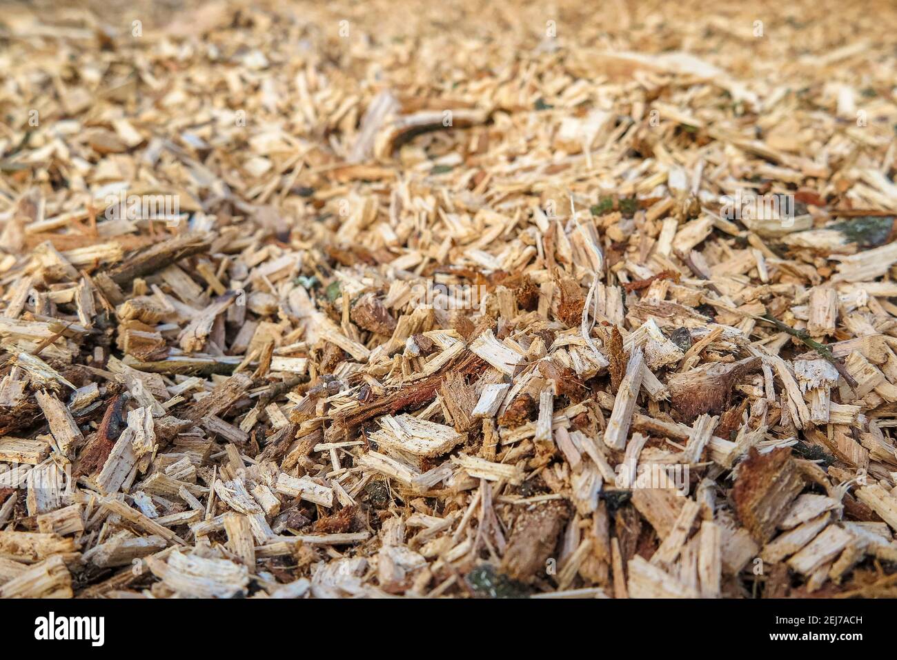 Ein riesiger Haufen Holzhackschnitzel Stockfoto