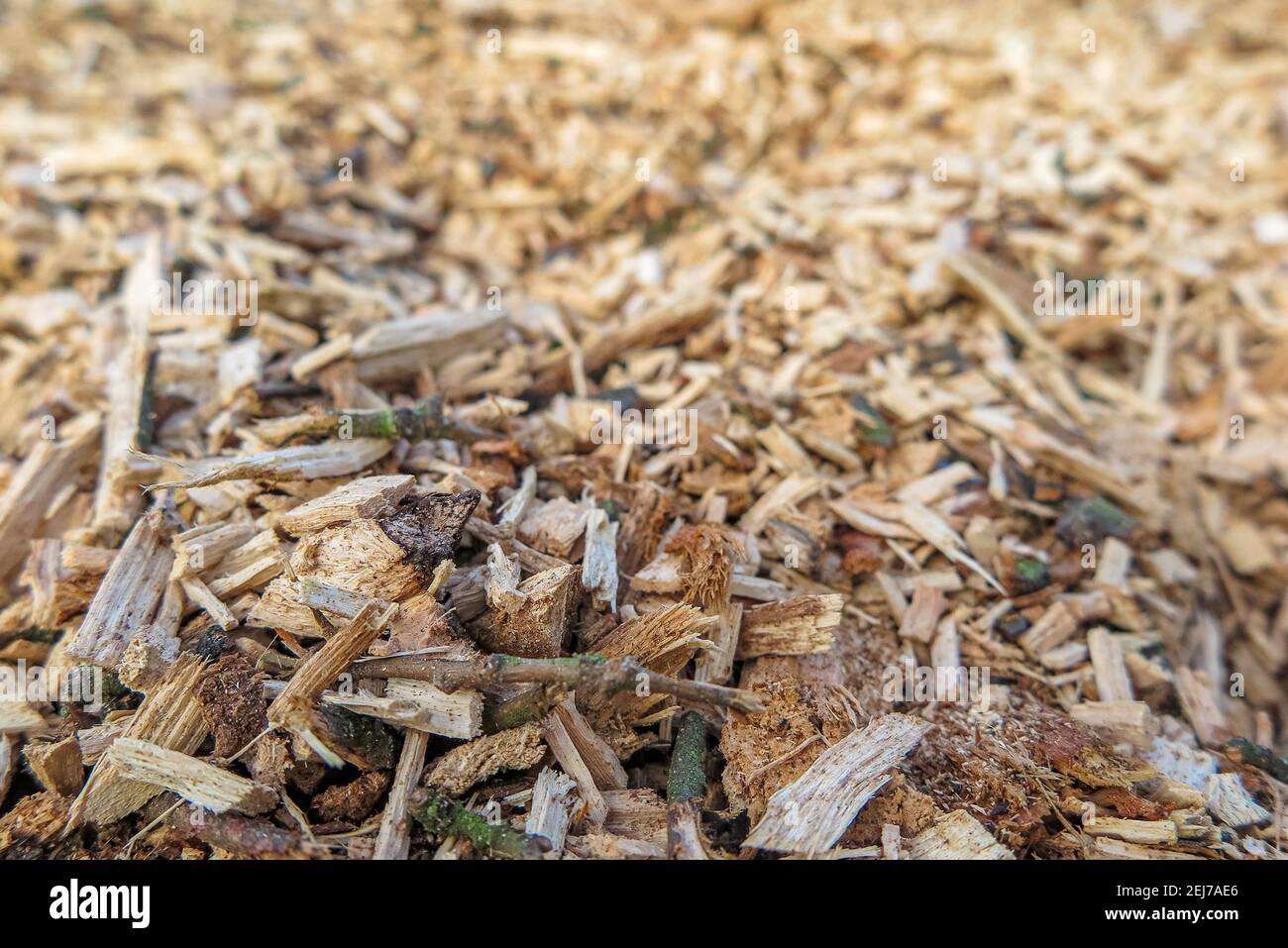 Ein riesiger Haufen Holzhackschnitzel Stockfoto