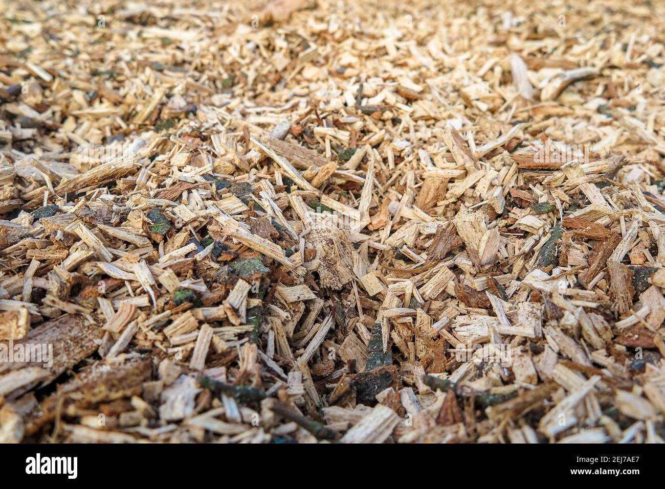 Ein riesiger Haufen Holzhackschnitzel Stockfoto