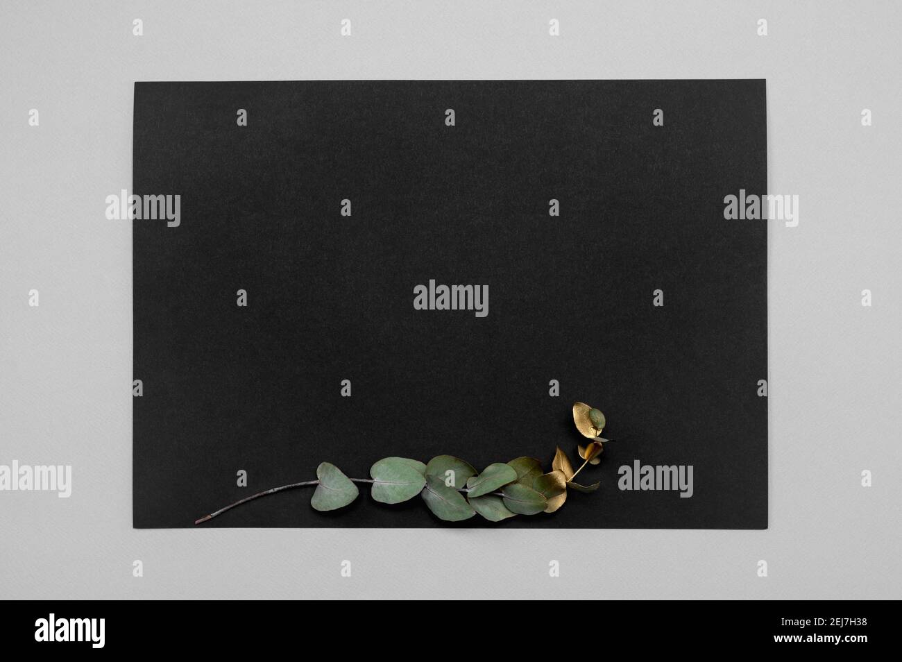 Schwarze Einladungskarte Mockup mit getrocknetem Gras Dekoration auf einem neutralen Tisch. Schwarz pape 5x7 Verhältnis, ähnlich A4, A5. Kopierraum. Minimalistisches Design Stockfoto
