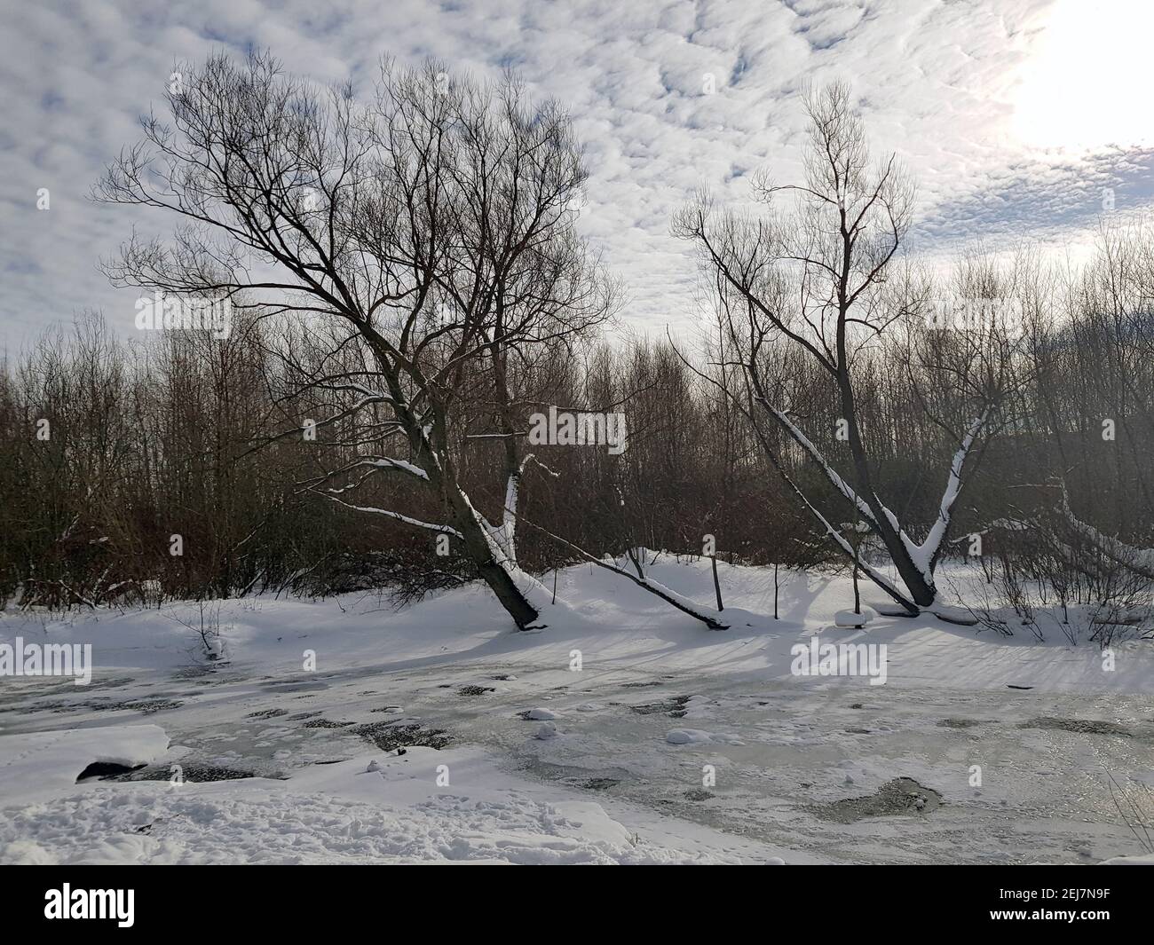 Handy-Foto. Eisiger Sumpf, Schnee an den Ufern Stockfoto