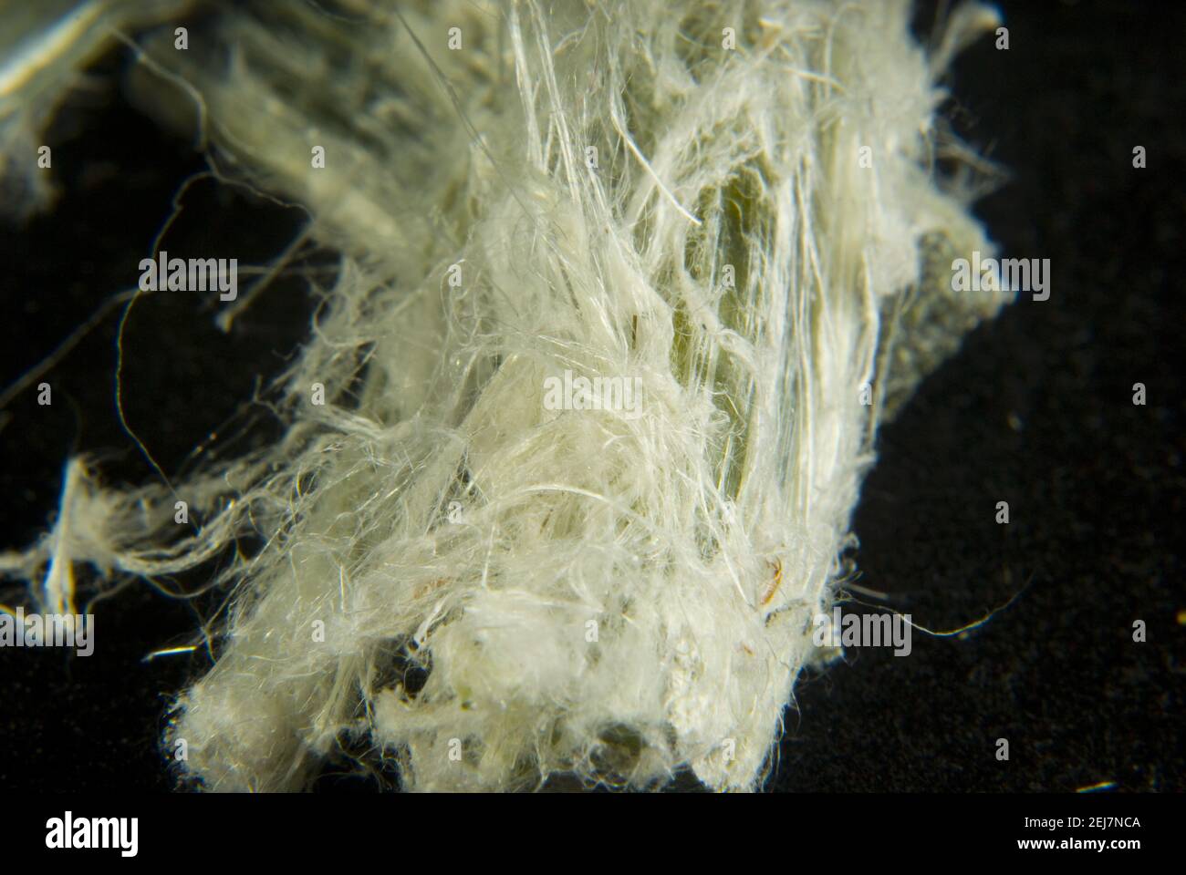 Nahaufnahme von natürlich vorkommendem faserigen Silikat-Mineralasbest auf dunklem Hintergrund Stockfoto