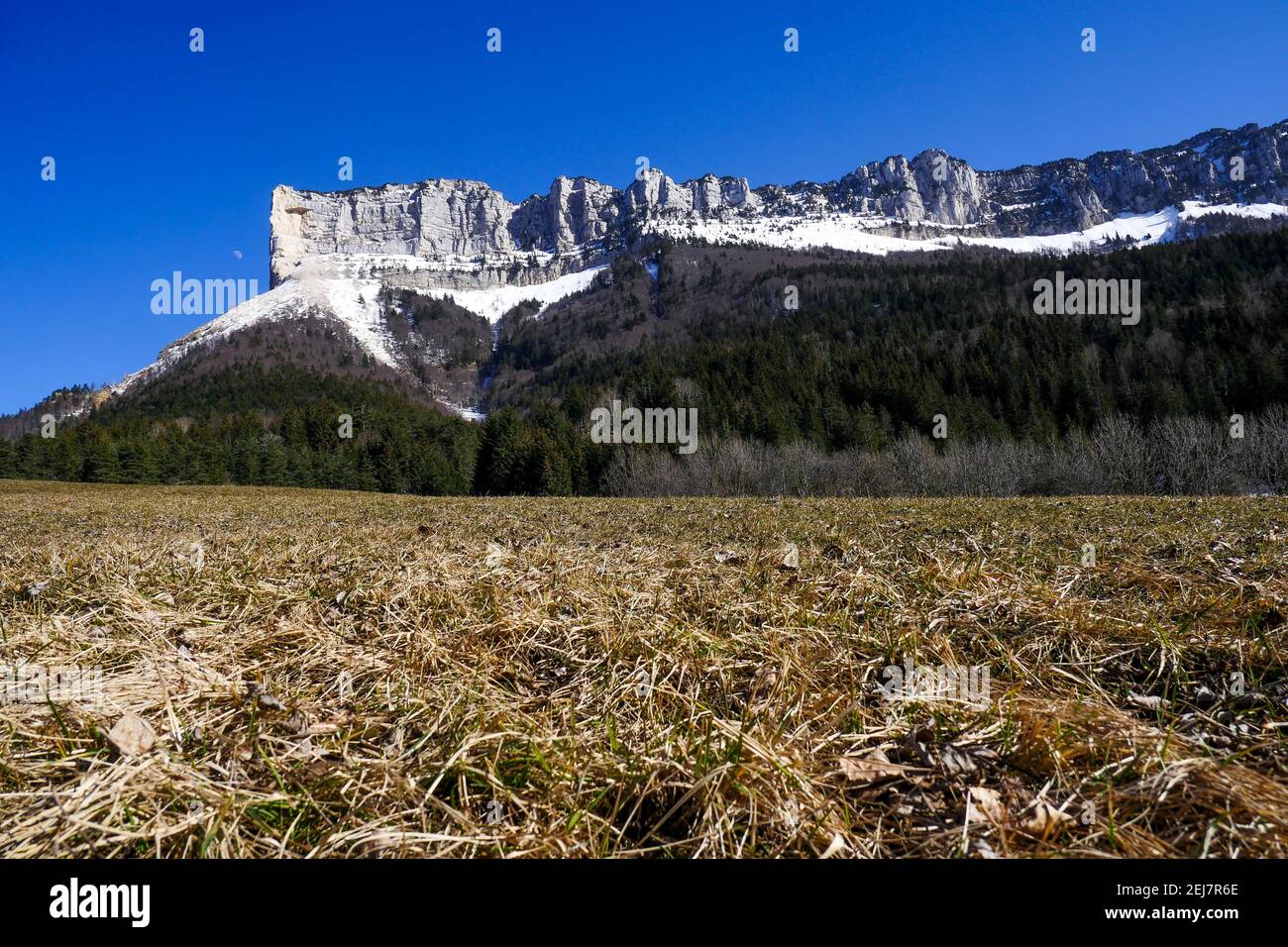 Mont Granier, Savoie, Frankreich Stockfoto