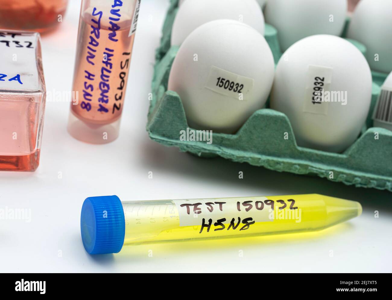 Neuer Stamm von H5N8 Vogelgrippe infiziert beim Menschen, Fläschchen mit Proben, konzeptuelles Bild Stockfoto