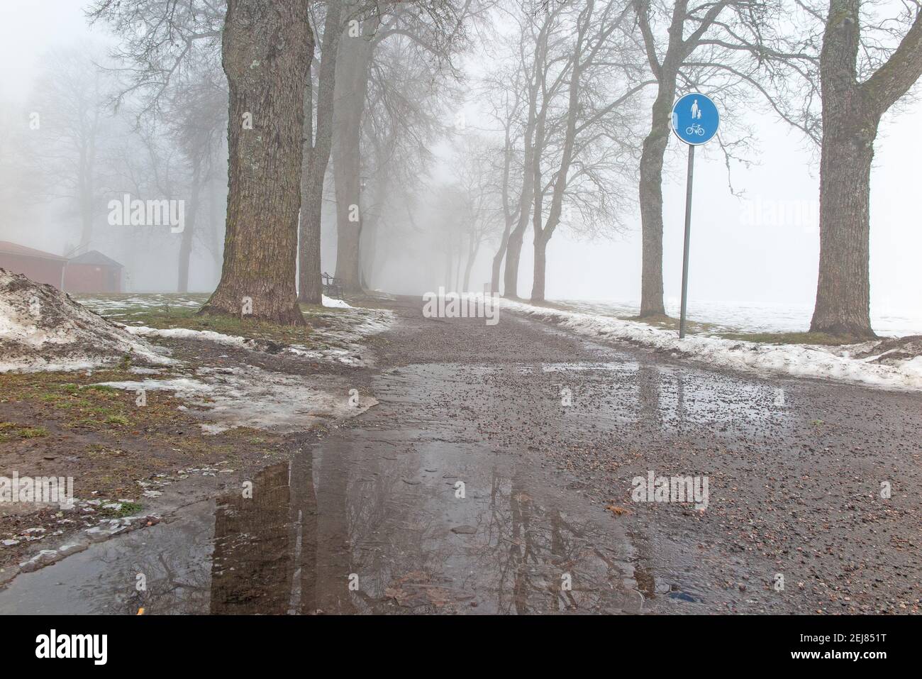Bäume im Winternebel. Malmkoping schweden Foto: Bo Arrhed Stockfoto