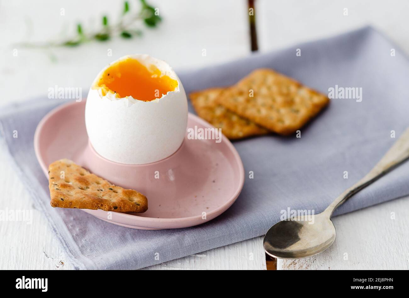 Weich gekochtes Ei in einem rosa Eierbecher mit einem Löffel, einer hellblauen Serviette, Saatkräckern und Oregano-Blättern, im weißen Holzhintergrund. Stockfoto