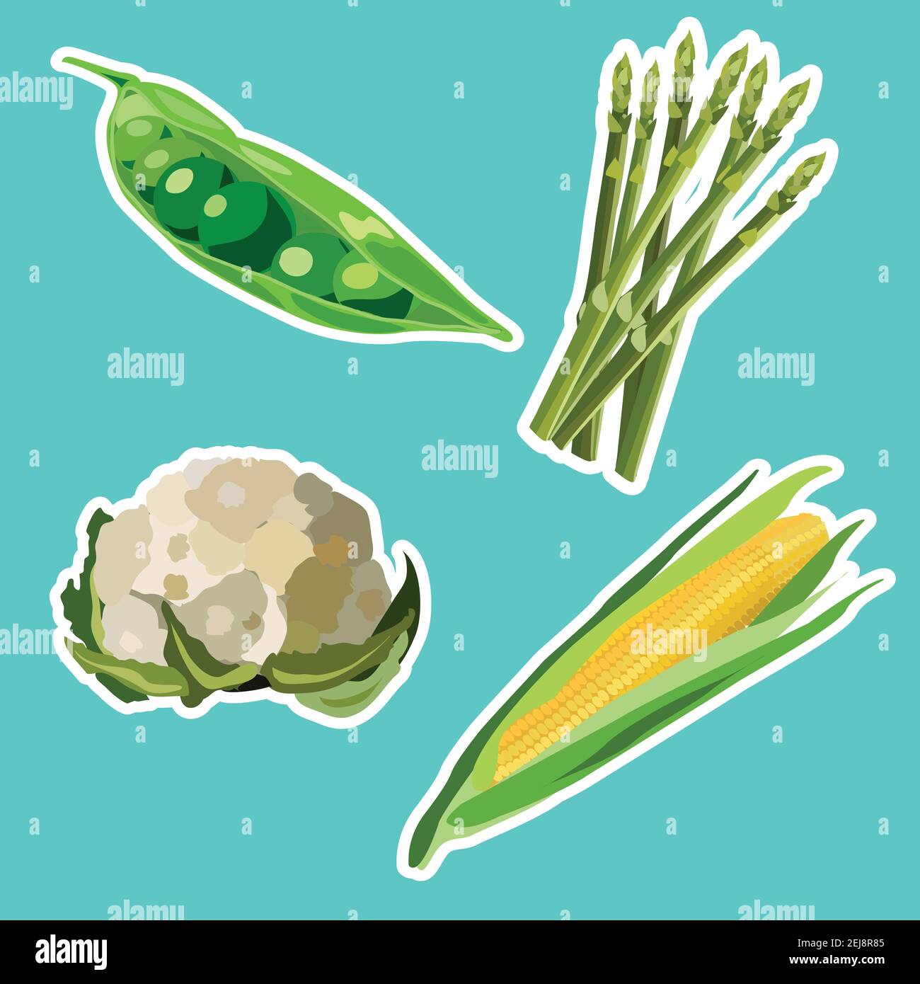 Vektor-Set von flachen Cartoon Gemüse Aufkleber. Vektorhintergrund. Flaches Symbol. Vegetarischer Aufkleber. Aufkleber für gesunde Lebensmittel Stock Vektor