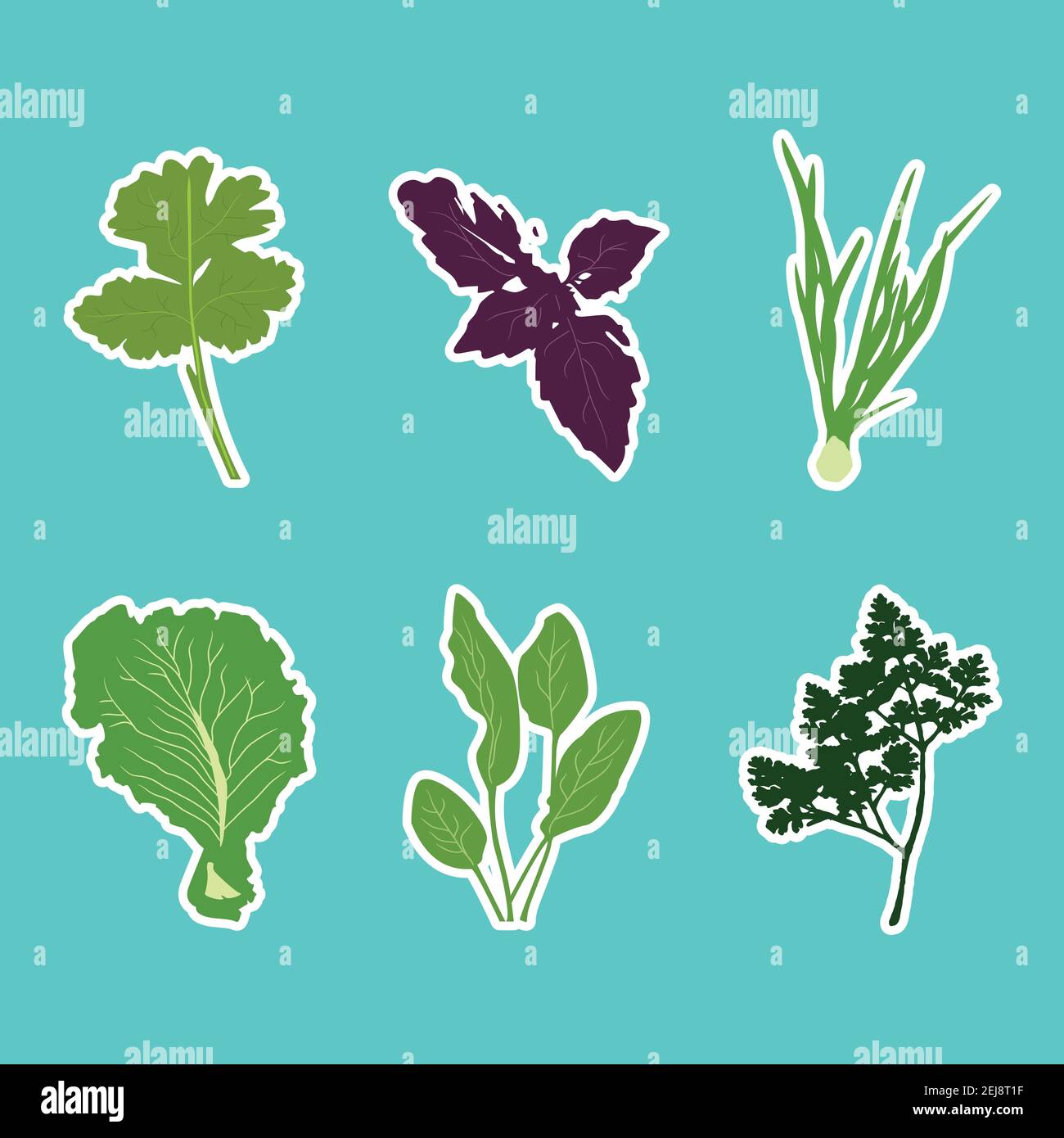 Vektor-Set von flachen Cartoon Gemüse Aufkleber. Vektorhintergrund. Flaches Symbol. Vegetarischer Aufkleber. Aufkleber für gesunde Lebensmittel. Stock Vektor