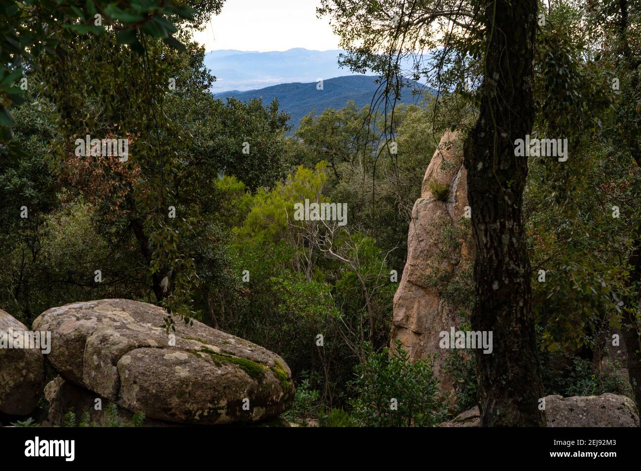 Massís de les Cadiretes Stockfoto