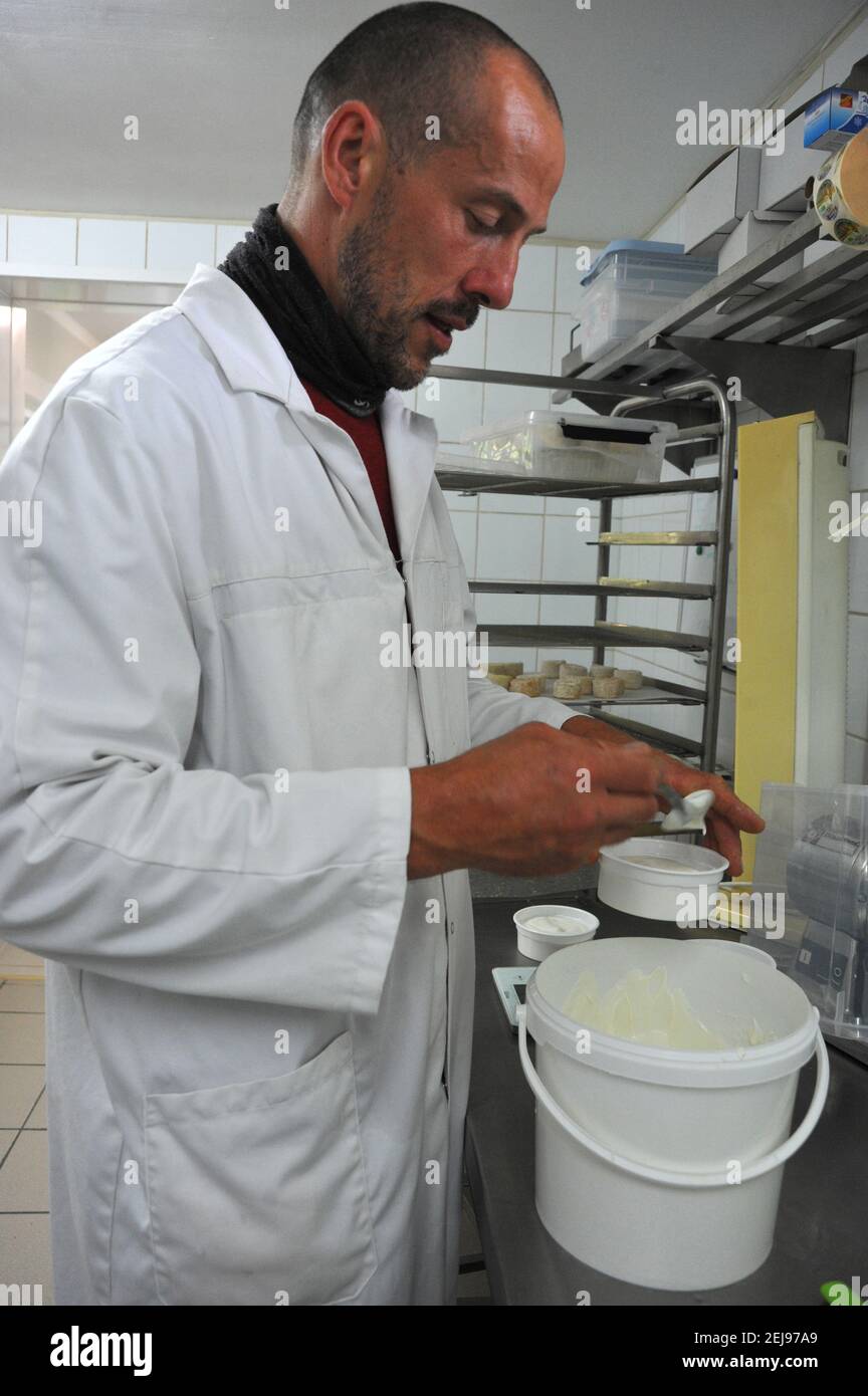 Ziegenzucht und Herstellung von Bio-Produkten aus Ziegenmilch Stockfoto
