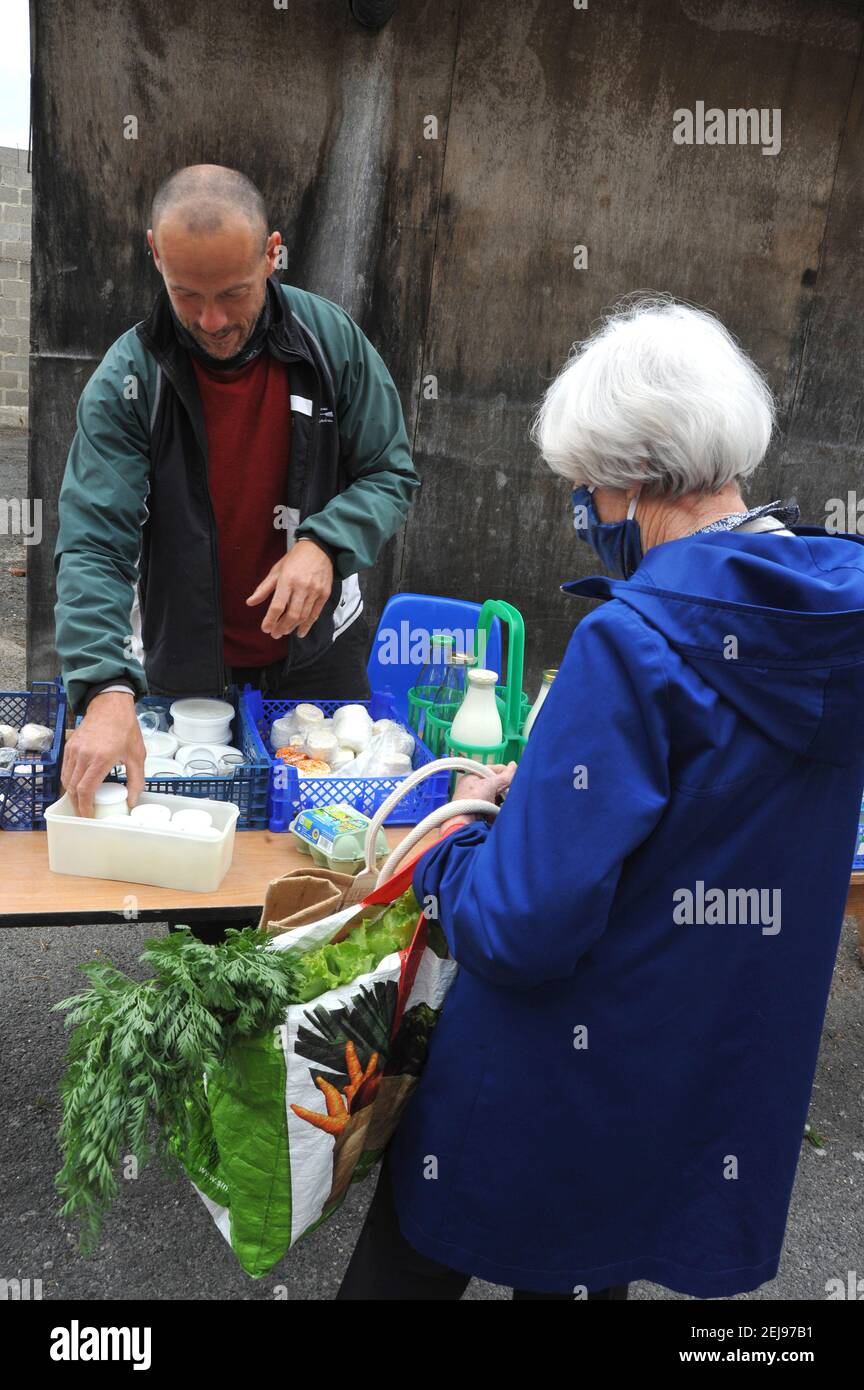 Ziegenzucht und Herstellung von Bio-Produkten aus Ziegenmilch Stockfoto